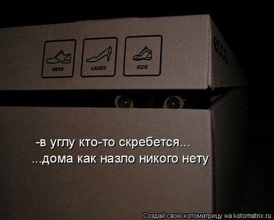 нет.jpg