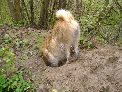 DSC04096.JPG