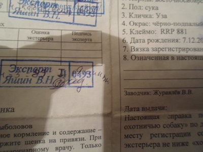 SAM_1210.JPG