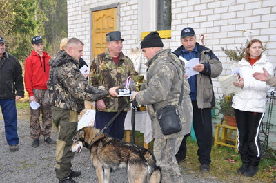 плут.jpg