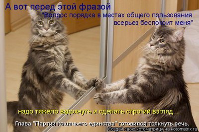 глава.jpg