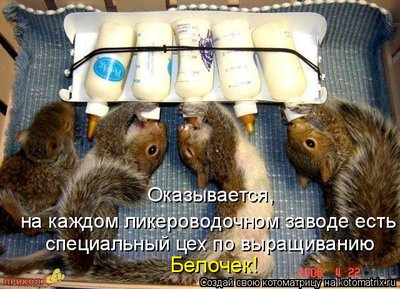 фаб.jpg