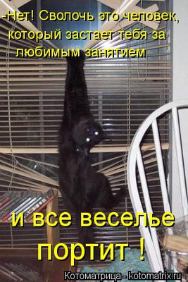 свол.jpg