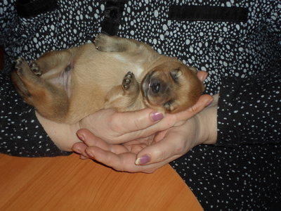 SAM_0711.JPG