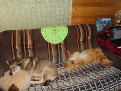 SAM_0716.JPG