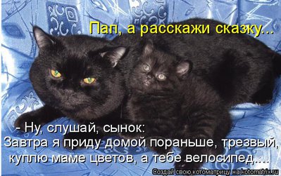 папа.jpg