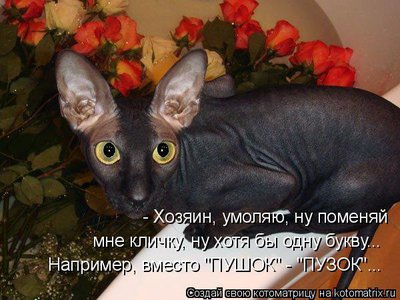 клич.jpg