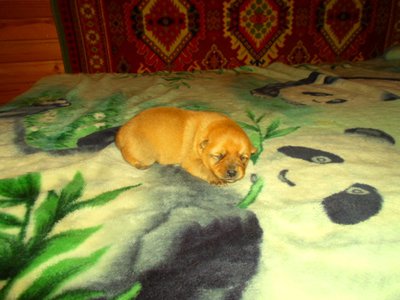 SAM_0799.JPG