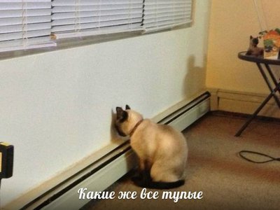 CPZAdHRmjtU.jpg