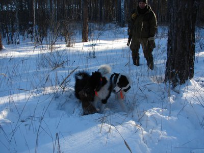 Не зеркалка....JPG