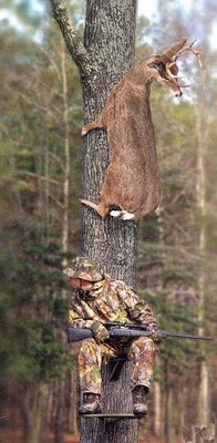getImage (13).jpg
