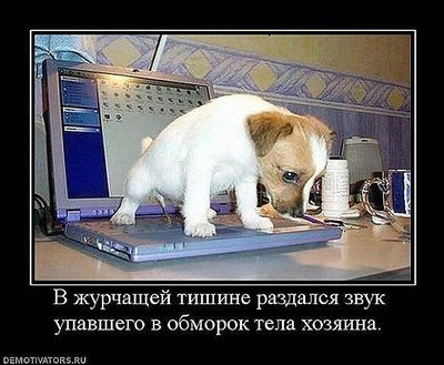 getImage (25).jpg