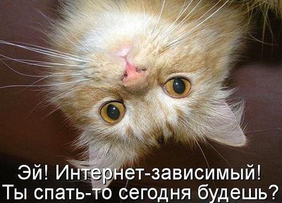 getImage (26).jpg