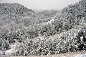 3652_15-valinskie-gori-zimoy-[1].jpg