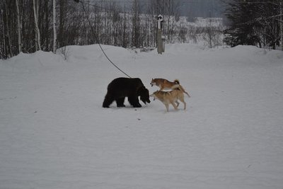 DSC_0240.JPG