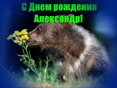 АБ19.jpg