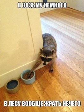 getImage (32).jpg