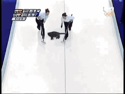 13927801136551.gif