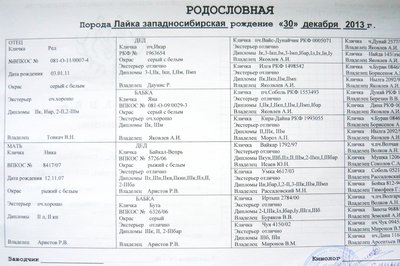 P1040522.JPG