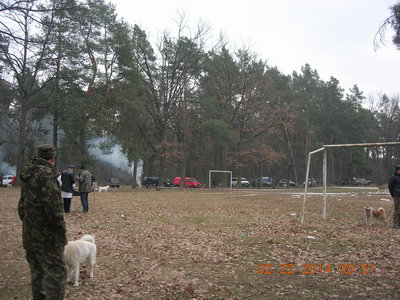 DSCN9761.JPG