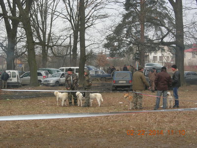 DSCN9765.JPG