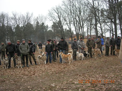 DSCN9768.JPG