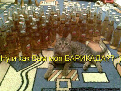 бар.jpg