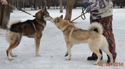 DSC_0853.JPG