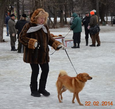 DSC_0688.JPG