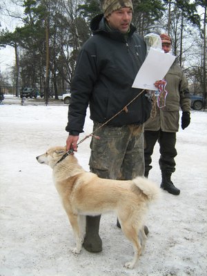 IMG_2368.JPG