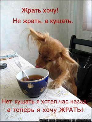 VO.jpg