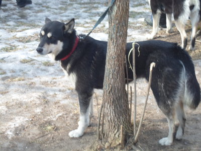 SAM_1505.JPG
