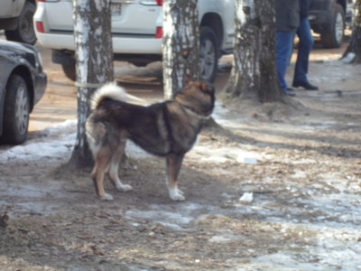 SAM_1510.JPG