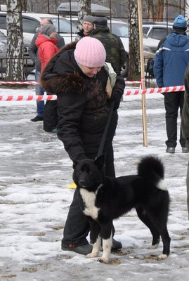 DSC_0113.JPG