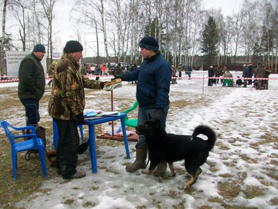 Н.Дозор (3).JPG