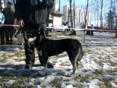 ТайгаПопов (4).JPG
