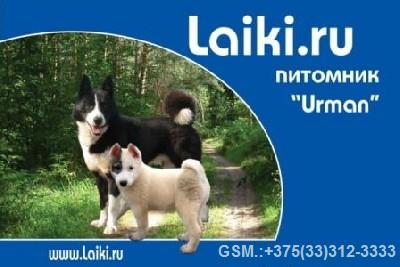 laiki1.jpg