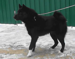 173491_Abram_2009_11.jpg