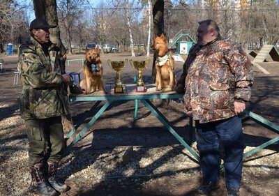 Изображение 482.jpg