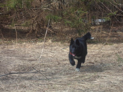 SAM_1575.JPG