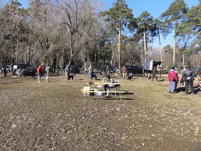 DSC06753 (1).JPG