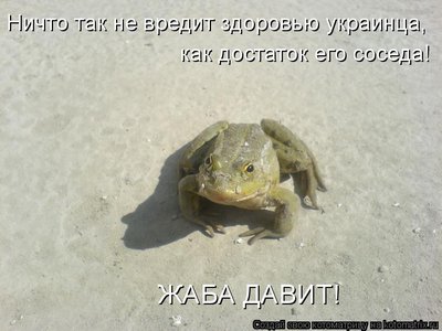 жаба.jpg
