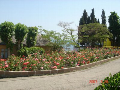 priroda-vidi-ubk-solnechnogorskoe032.jpg