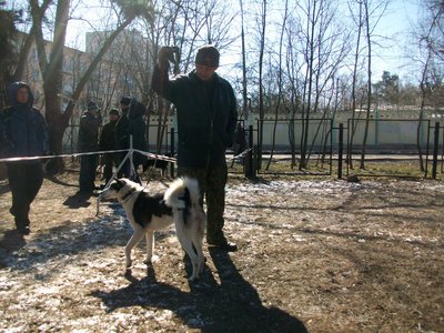 100_5781.JPG