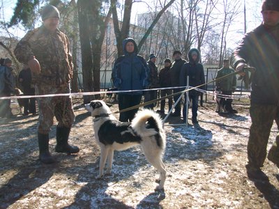 100_5782.JPG