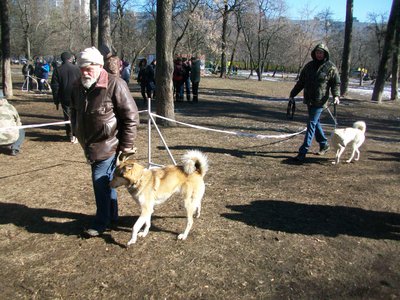100_5784.JPG