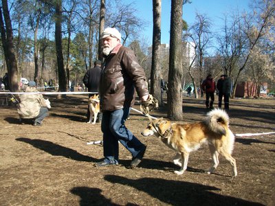 100_5789.JPG