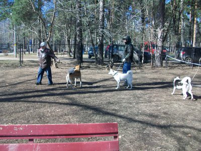 100_5785.JPG