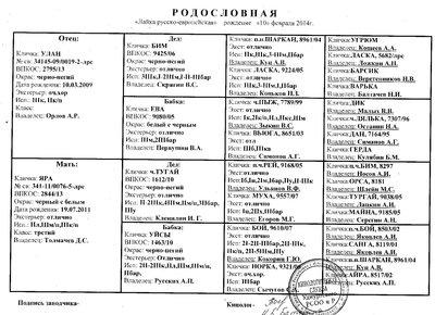 Д. Толмачев_ родословная щенков.jpg