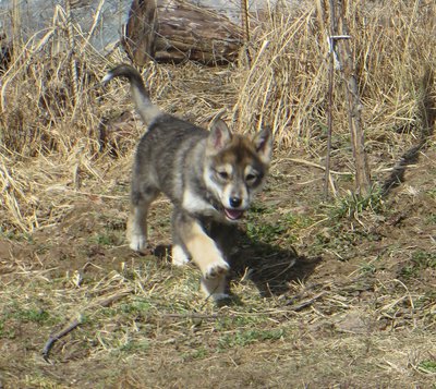 IMG_2882.JPG